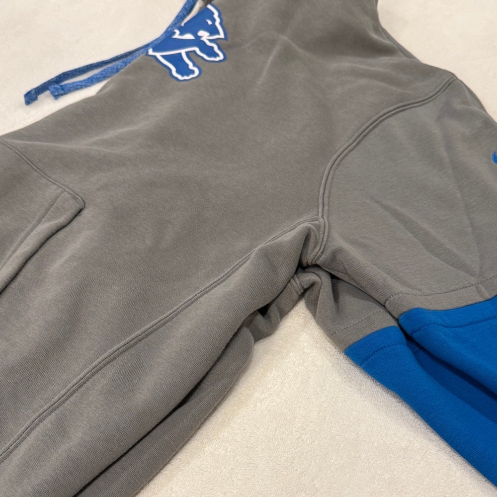 NFL Nike sweatshirt with Blue Detroit Lion Logo - Picture 10 of 16